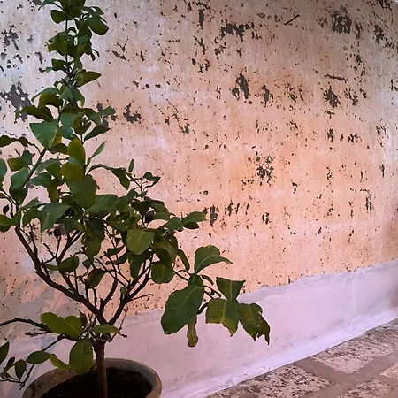Vico Appennini